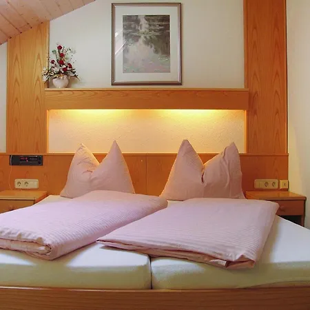 In Dienten With Ski-in Access & Pool