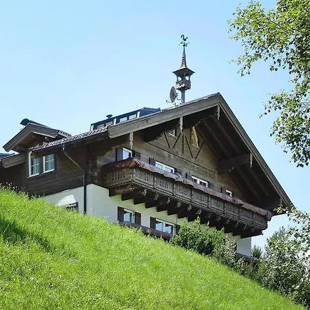 In Dienten With Ski-in Access & Pool