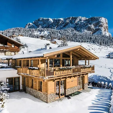 In Dienten With Ski-in Access & Pool