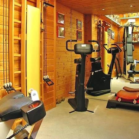 In Dienten With Ski-in Access & Pool *