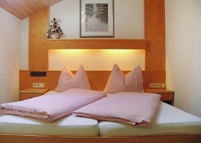 In Dienten With Ski-in Access & Pool