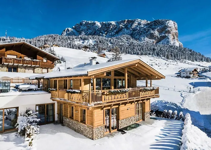 In Dienten With Ski-in Access & Pool